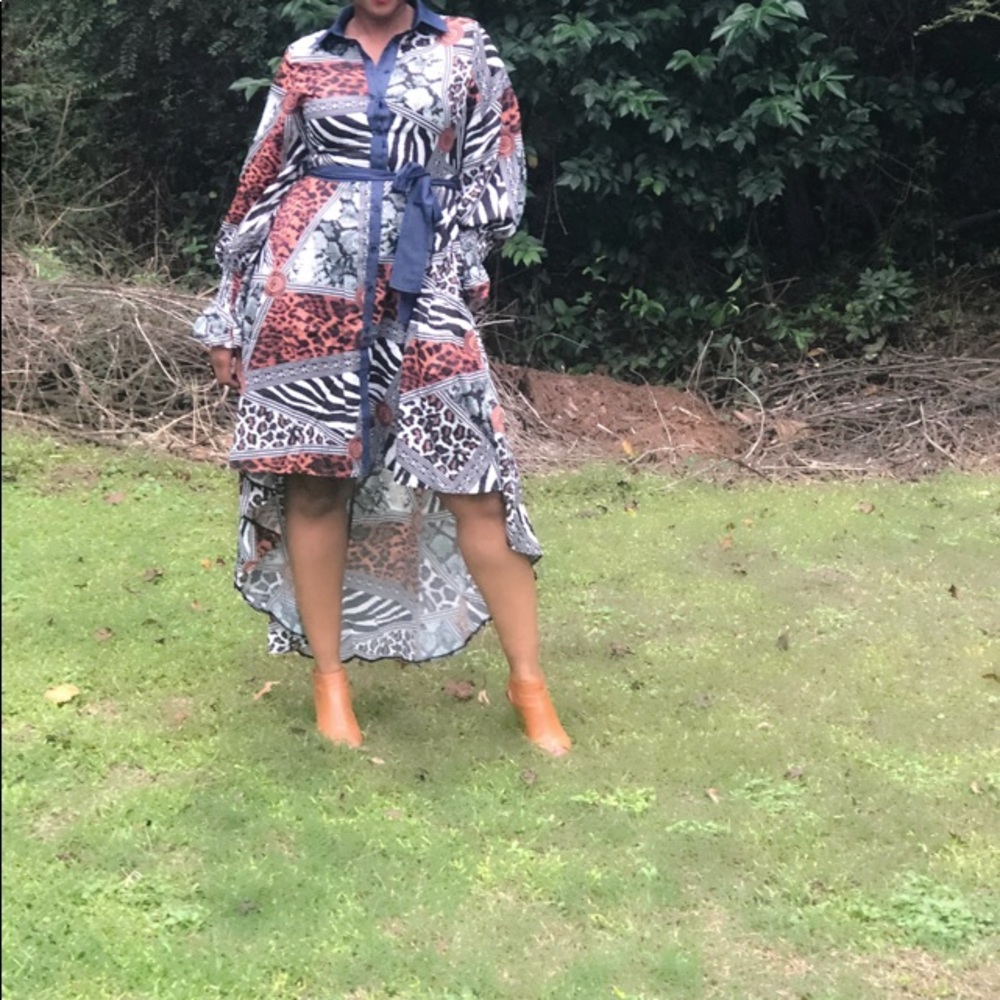 Animal Print Is So In! Hi Low Midi Dress